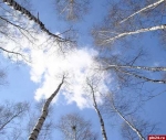 Псков установил новый температурный рекорд в начале марта